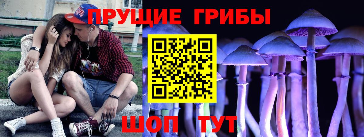 магазин  наркотиков  Вход с VPN  Новокубанск  Псилоцибиновые грибы мицелий 