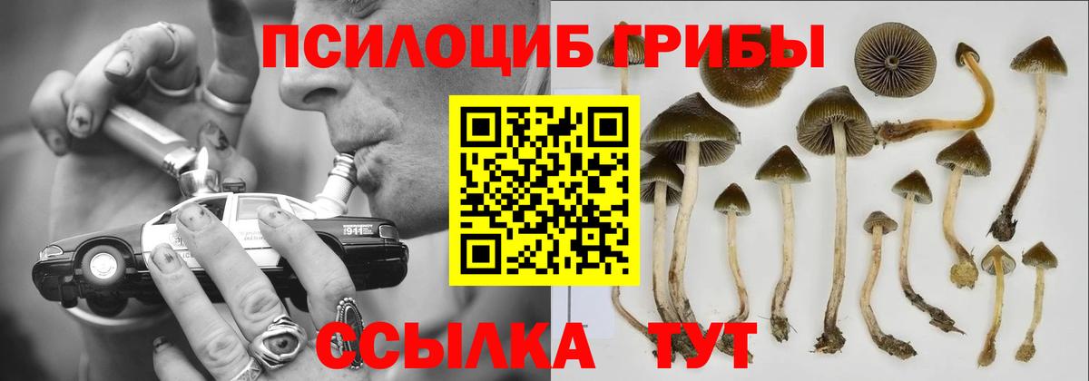 ЭКСТАЗИ  Новокубанск  Каннабис  Меф МЯУ МЯУ   ГАШИШ  Вход с VPN 